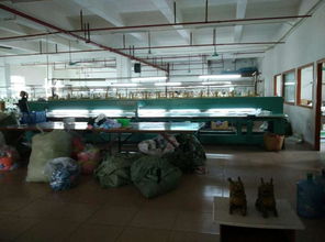 東莞市農村社區(qū)集體資產管理網(wǎng)在東風社區(qū)的應用 網(wǎng)絡工程實踐與展望